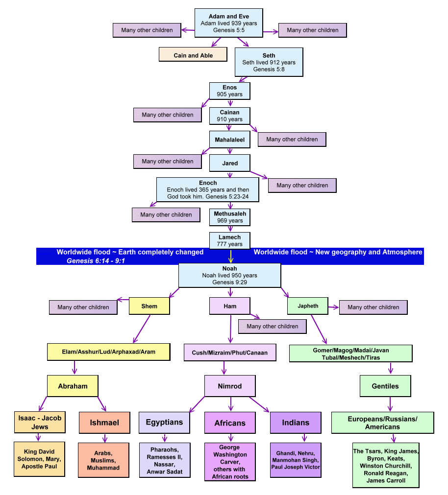 Chart of the Genealogy from Adam to after the flood